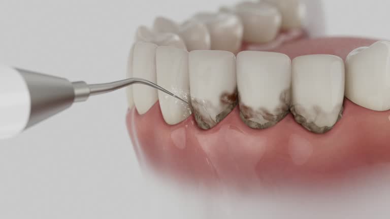 Reliable Dental contractor in Tangerine, FL by Dentist Open Now